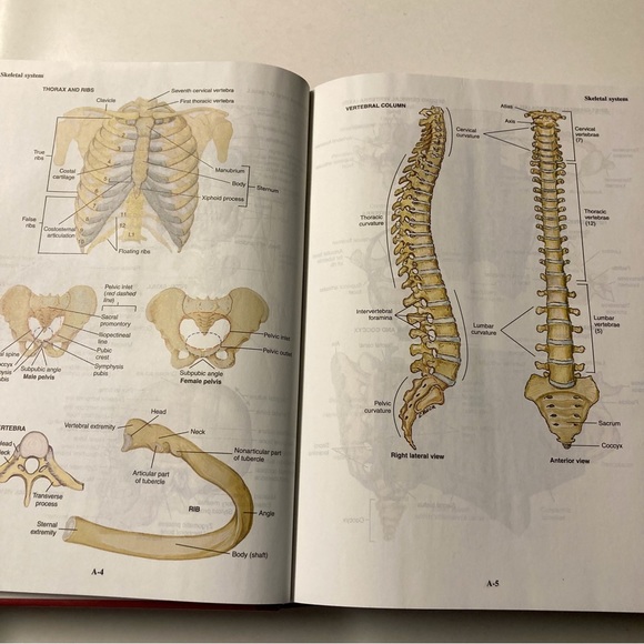 Mosby's Medical Dictionary - Picture 11 of 13